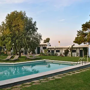 angelbay-bungalows.hotelschalkidiki.net/
